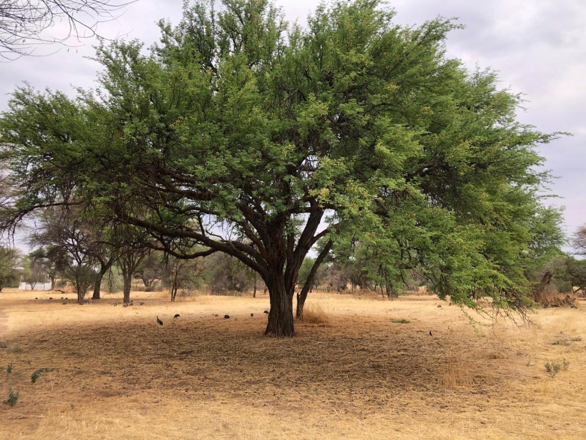 Okahandja Country Hotel Bagian luar foto