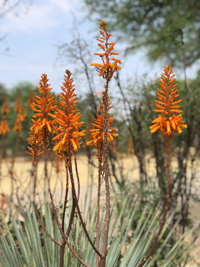 Okahandja Country Hotel Bagian luar foto